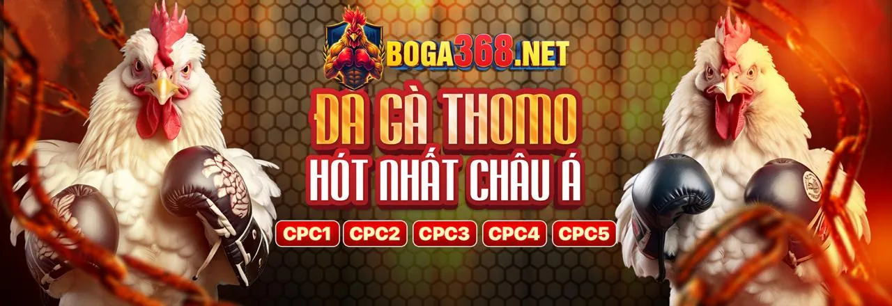 Đá gà cựa dao do99 login