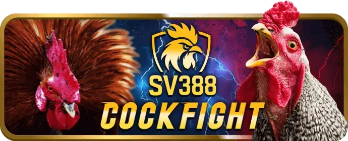 Hoàn trả hàng ngày bắn cá do99 login
